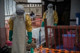 Dịch Ebola bùng phát giữa Covid-19