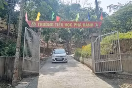 Phó hiệu trưởng xin từ chức sau cai nghiện ma túy