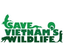 Tìm hỗ trợ xây dựng văn phòng SVW tại Hà Nội