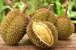 Sầu riêng bổ thận dương