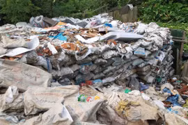 Rác thải “nuốt” bãi sông Hồng