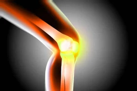 Thực phẩm phòng tránh loãng xương