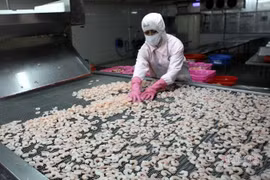 Vừa đón tin vui, thế mạnh 8 tỷ USD của Việt Nam bị cảnh báo nguy hiểm