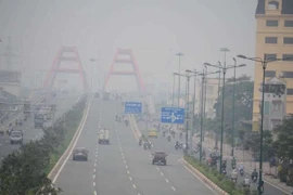 TPHCM: Chậm công bố ô nhiễm không khí do quan trắc thủ công