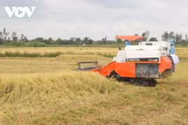 Dịch Covid-19 và bài toán chuỗi liên kết sản xuất tiêu thụ trong nông nghiệp