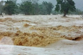 Cầu vượt lũ từ vật liệu đơn giản