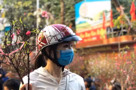 Chợ hoa Thủ đô nhộn nhịp ngày cuối năm