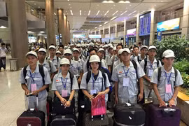 Mang thịt lợn sang Hàn Quốc có thể bị phạt tới 200 triệu đồng