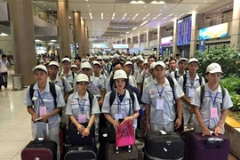 Mang thịt lợn sang Hàn Quốc có thể bị phạt tới 200 triệu đồng