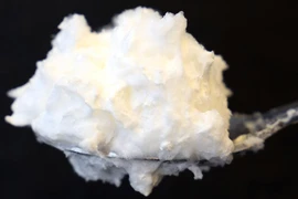 Nấm, giải pháp bền vững thay thế sản xuất protein từ lòng trắng trứng