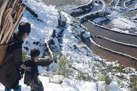 Công điện hỏa tốc chỉ đạo ứng phó với rét đậm, rét hại sắp xảy ra