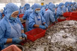 Quý 4/2019: Xuất khẩu tôm sang Mỹ dự kiến tăng 5%