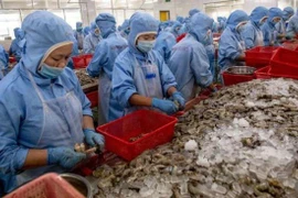 Quý 4/2019: Xuất khẩu tôm sang Mỹ dự kiến tăng 5%