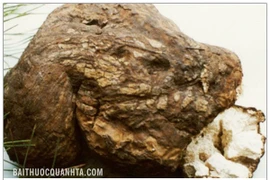 Phục linh an thần định tâm