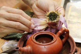 Trà hoa quả trị bệnh mùa hè