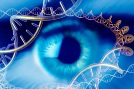 Thuốc điều trị đục thủy tinh thể có thể trở thành hiện thực