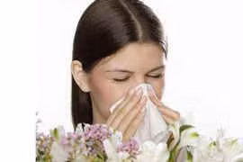 Phương dược trị tắc mũi, đau trán, mệt mỏi