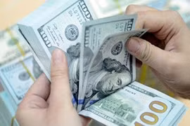  VND mạnh lên có thể là con dao hai lưỡi