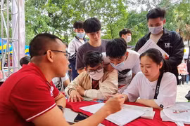 Chọn ngành hay chọn trường?