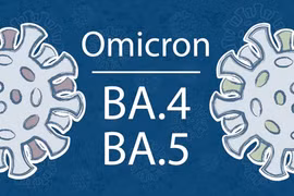 Số lượng ca nhiễm biến thể phụ BA.4, BA.5 tại Việt Nam