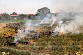 Giảm tình trạng ô nhiễm không khí không đốt rơm rạ sau thu hoạch