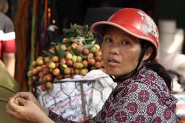 Kịch bản nào cho vải thiều ở tâm dịch Bắc Giang?