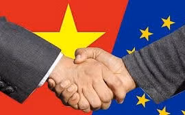 Doanh nghiệp mù mờ thông tin, nguy cơ EVFTA "chờ thêm" 4 - 5 năm