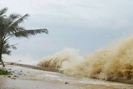 Cơ chế của bão và áp thấp nhiệt đới