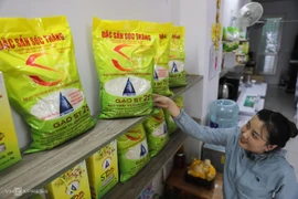 Việt Nam nguy cơ mất quyền dự thi 'Gạo ngon nhất thế giới'