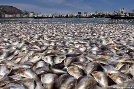 An ninh quốc gia trong thu hút FDI: “Chọn bạn mà chơi”