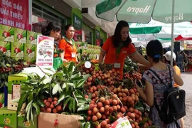 “Nụ cười” từ vựa vải Bắc Giang