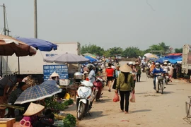 Chính phủ phê duyệt hỗ trợ đầu tư các công trình giao thông liên xã 22 huyện nghèo.