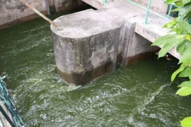 150 tỷ làm sạch sông Tô Lịch có lãng phí?