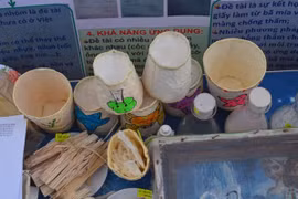 Giấy chống thấm từ bã mía, vỏ tôm