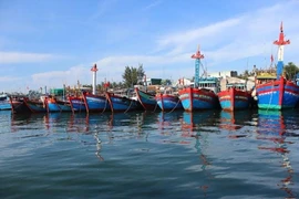 Thanh Hóa: Phạt trên 180 triệu đồng do vi phạm trong khai thác, bảo vệ nguồn lợi thủy sản 