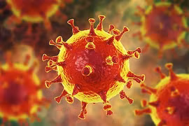 Phát hiện yếu tố khiến nCoV dễ lây lan trong không khí