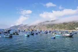 Những chuyến biển bạc triệu nhờ săn tôm hùm, cá chuồn