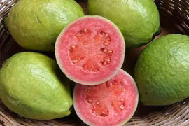 Ổi giúp nâng cao thể trạng 