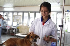  Kiến nghị "trả lại tên" bác sĩ thú y để sinh viên không thiệt thòi