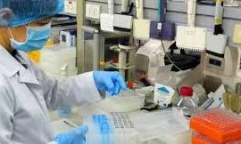 Nhiều bộ kit của Việt Nam sẽ được lưu hành rộng rãi