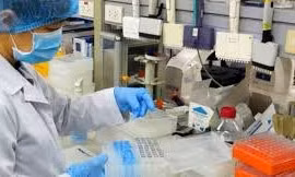 Nhiều bộ kit của Việt Nam sẽ được lưu hành rộng rãi