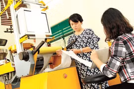 Biến tinh bột sắn thành túi nilon tự hủy