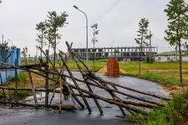 Kiến nghị thu hồi 29 dự án chậm đưa đất vào sử dụng tại Hà Nội