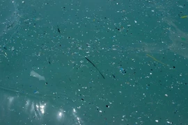 Robot từ tính thu thập và phân hủy vi nhựa trong đại dương