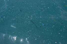 Robot từ tính thu thập và phân hủy vi nhựa trong đại dương