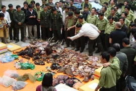 Không dùng động vật hoang dã để chữa bệnh