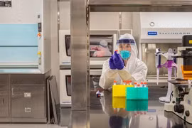 Bản sao không lây nhiễm SARS-CoV-2 để nghiên cứu Covid-19