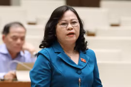 Tranh luận về đề xuất đổi tên hai ủy ban của Quốc hội