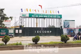 Thứ trưởng Bộ Xây dựng lên tiếng việc 'đút tiền' bốc thăm mua NƠXH