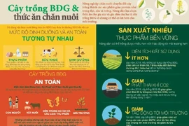 EU cấp phép thêm 10 sự kiện BĐG sử dụng làm thực phẩm và thức ăn chăn nuôi